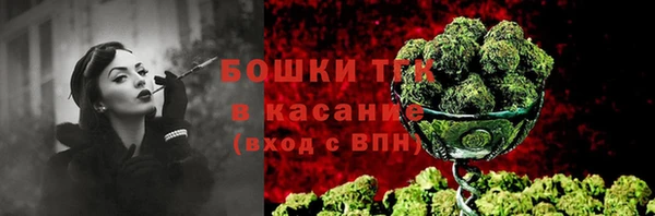 тгк Лиски