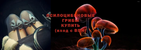 тгк Лиски