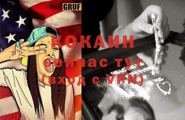 тгк Лиски